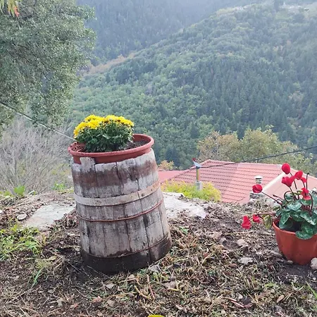 Holiday home μαριγουλαμ